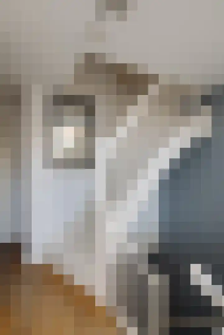 Agamemnonstraat 61 1 Amsterdam thumbnail 31