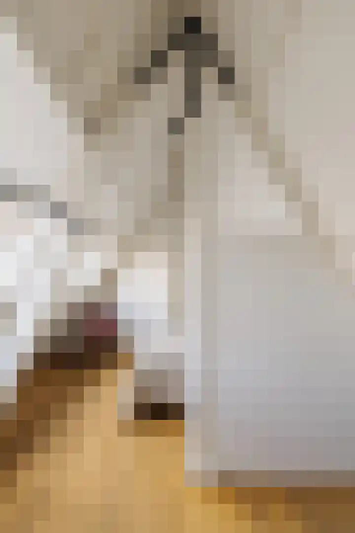 Agamemnonstraat 61 1 Amsterdam thumbnail 33