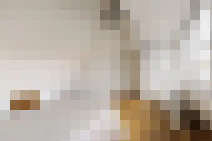 Agamemnonstraat 61 1 Amsterdam thumbnail 34