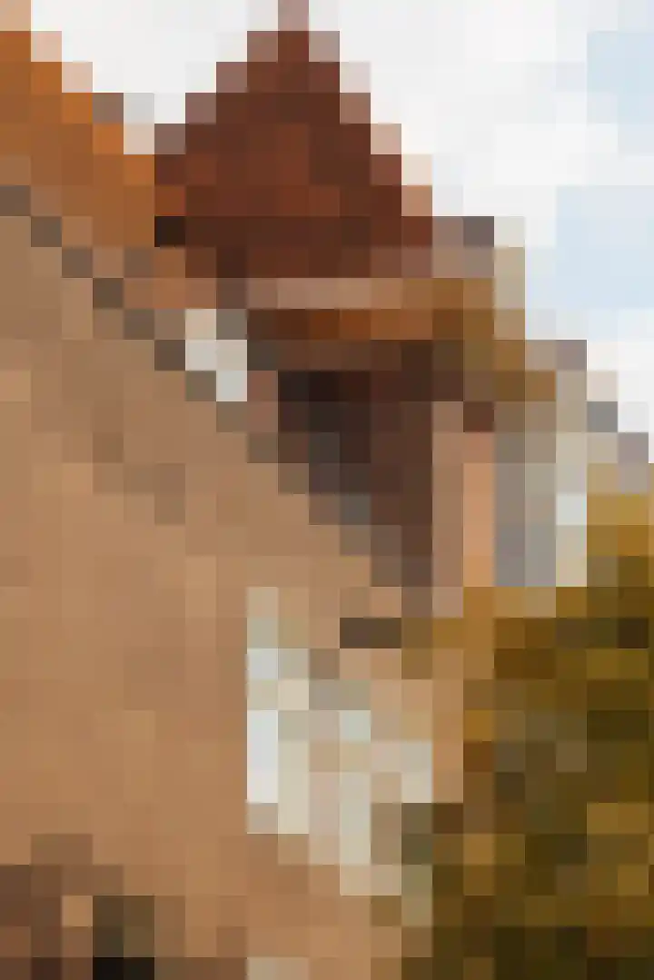 Agamemnonstraat 61 1 Amsterdam thumbnail 35