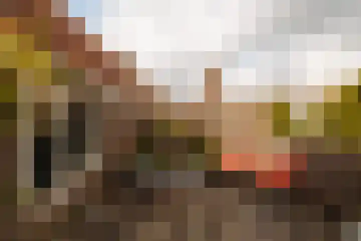 Agamemnonstraat 61 1 Amsterdam thumbnail 5