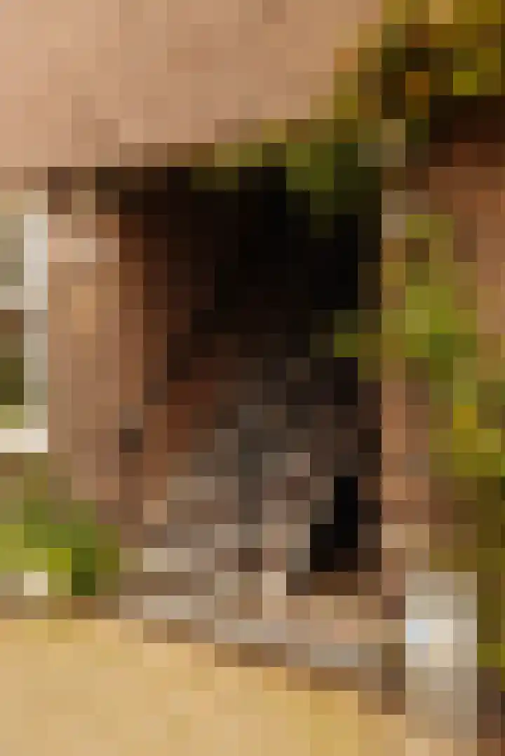 Agamemnonstraat 61 1 Amsterdam thumbnail 6