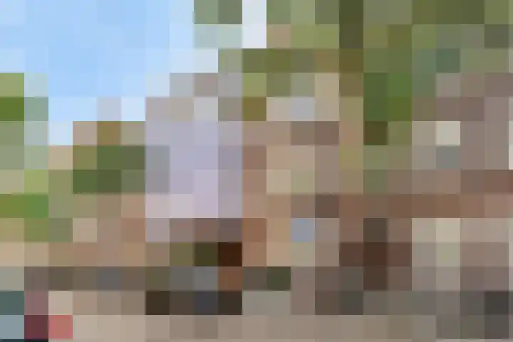 Agamemnonstraat 7 2 Amsterdam thumbnail 17