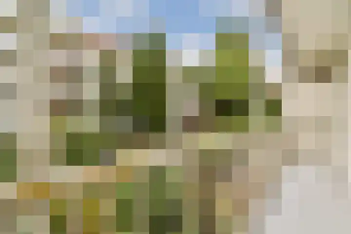 Agamemnonstraat 7 2 Amsterdam thumbnail 4