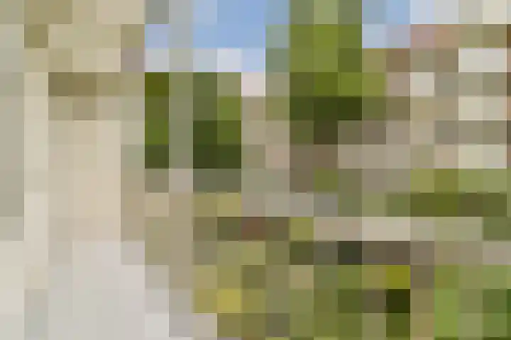 Agamemnonstraat 7 2 Amsterdam thumbnail 9