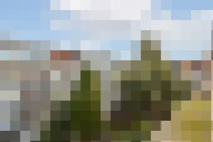 Agamemnonstraat 7 3 Amsterdam thumbnail 10
