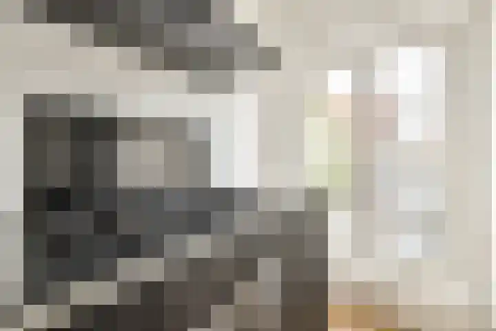 Agamemnonstraat 7 3 Amsterdam thumbnail 12