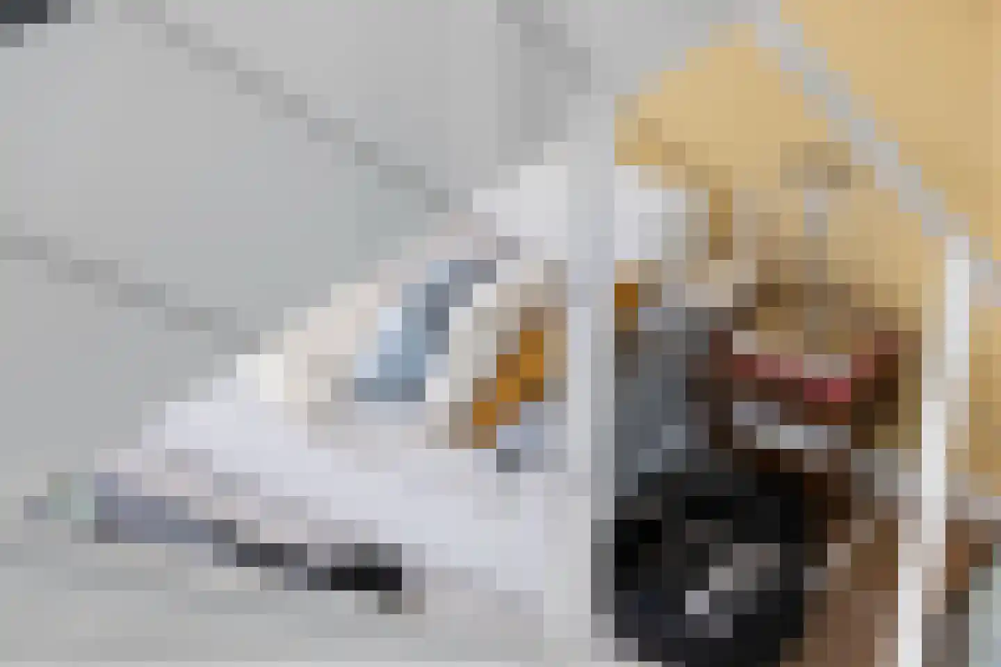 Agata de Bruynkade 12 Rotterdam thumbnail 10