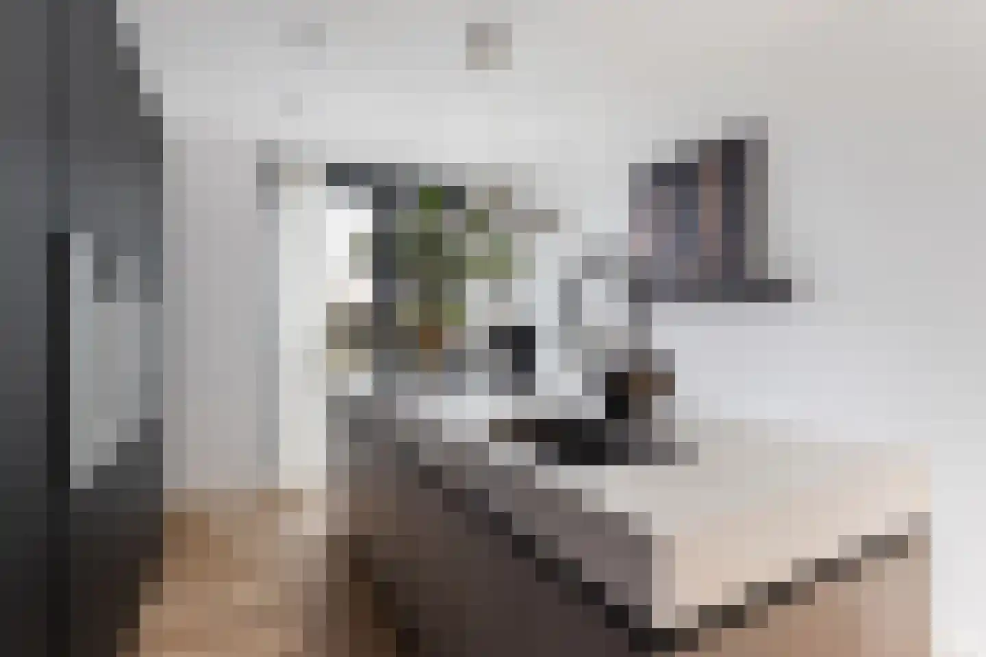 Agata de Bruynkade 12 Rotterdam thumbnail 12