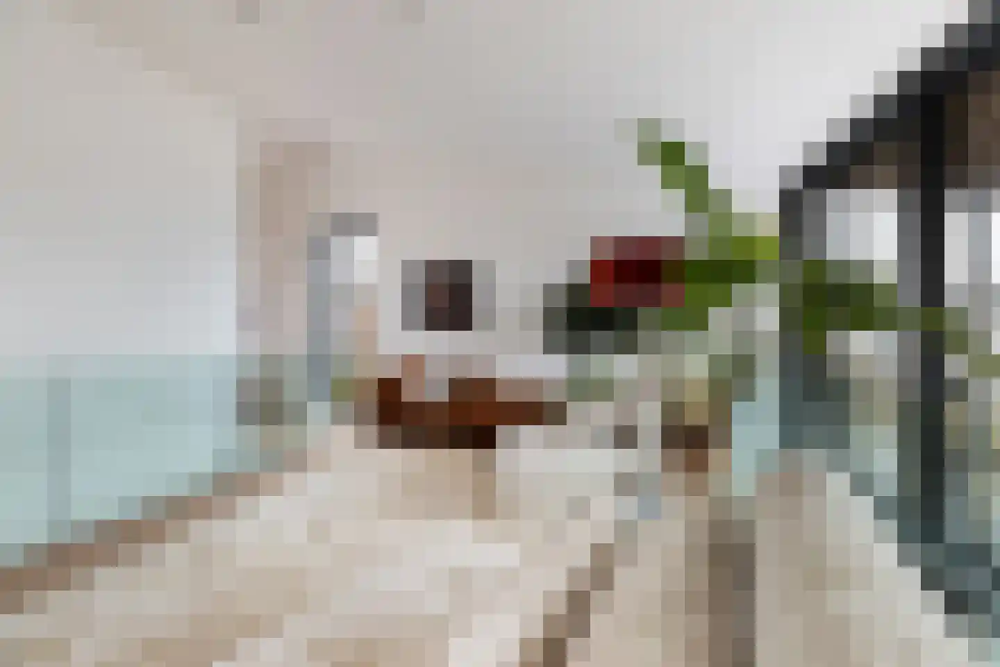 Agata de Bruynkade 12 Rotterdam thumbnail 20