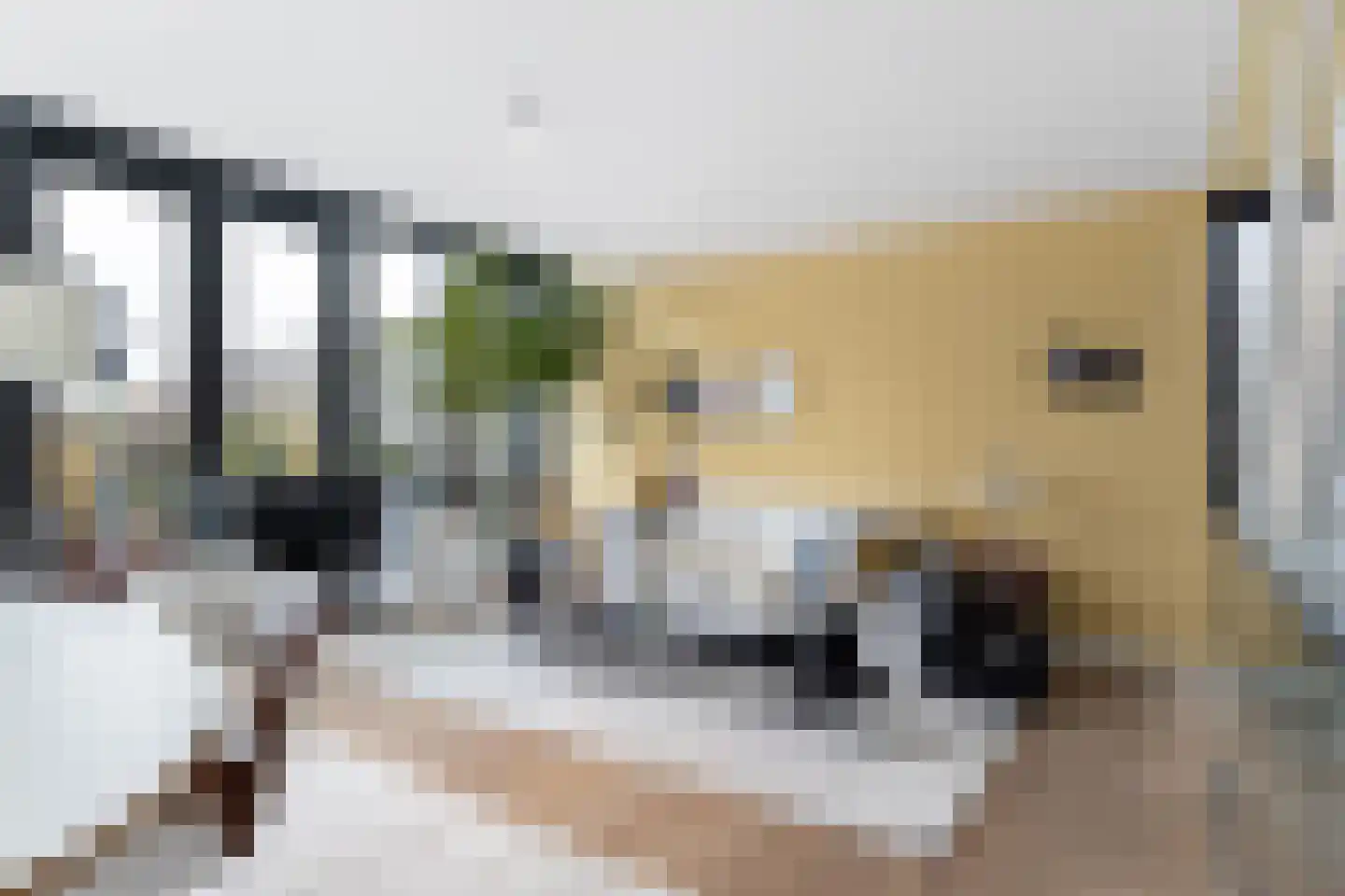 Agata de Bruynkade 12 Rotterdam thumbnail 6