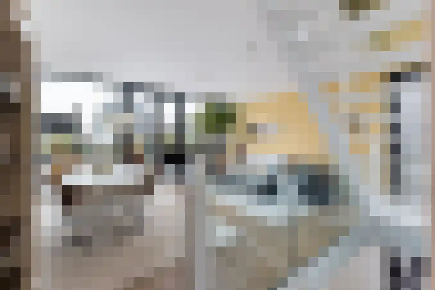 Agata de Bruynkade 12 Rotterdam thumbnail 8