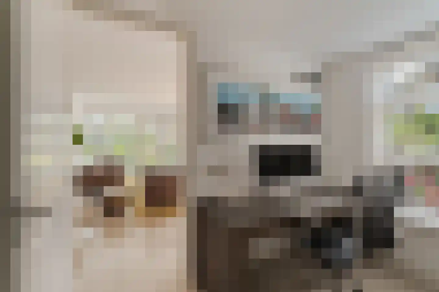 Agata de Bruynkade 19 Rotterdam thumbnail 17