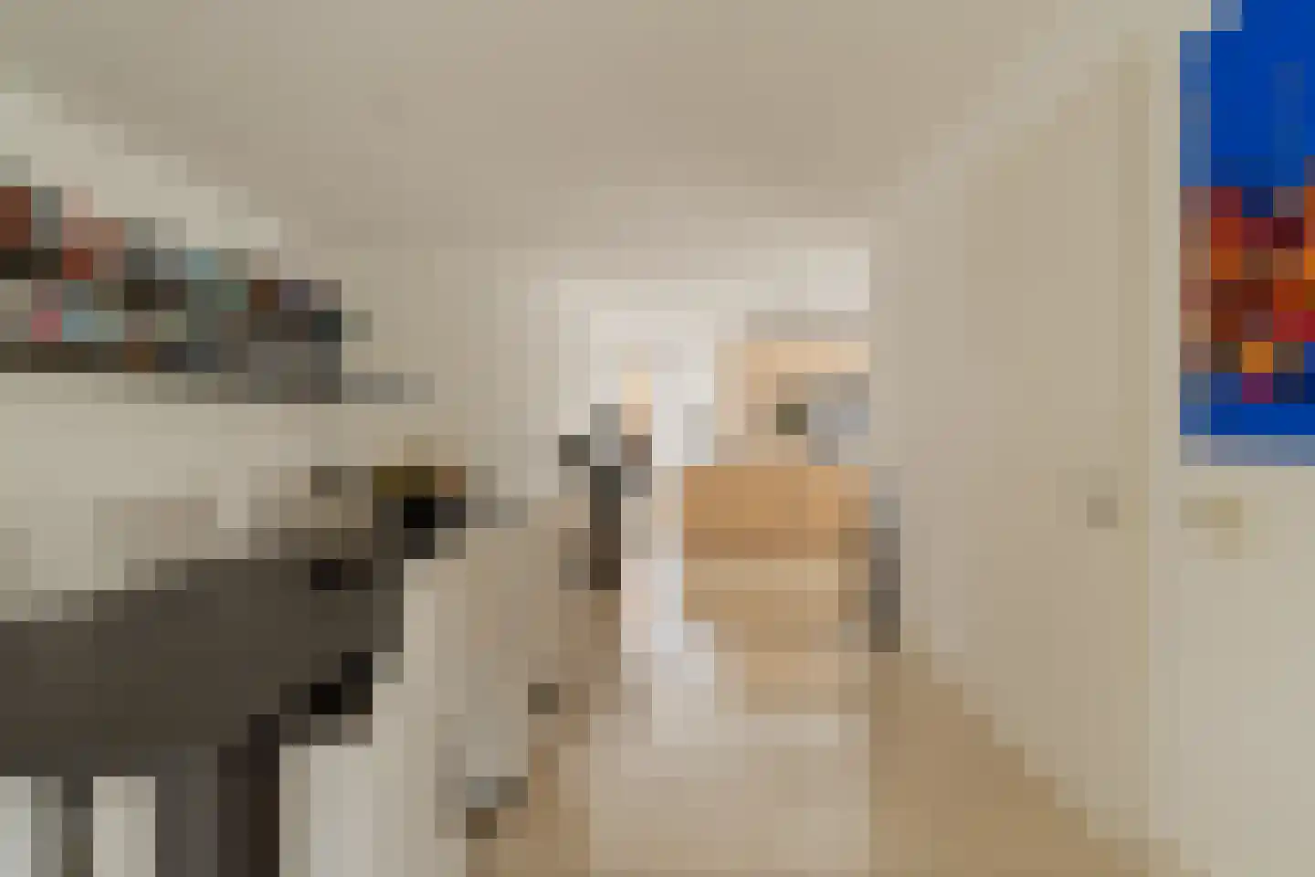 Agata de Bruynkade 19 Rotterdam thumbnail 18