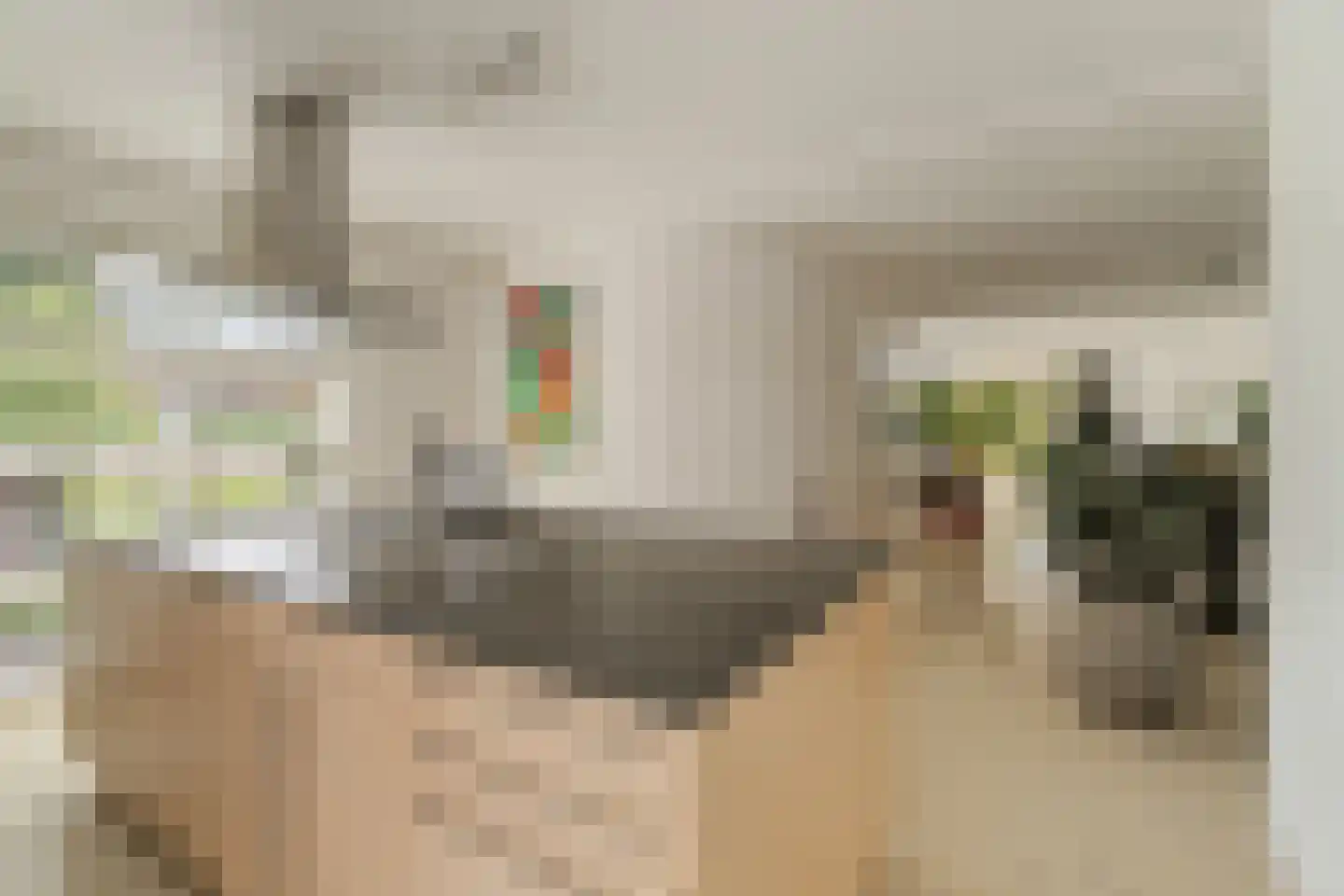 Agata de Bruynkade 19 Rotterdam thumbnail 22