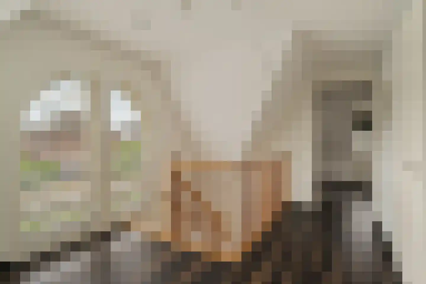Agata de Bruynkade 19 Rotterdam thumbnail 28