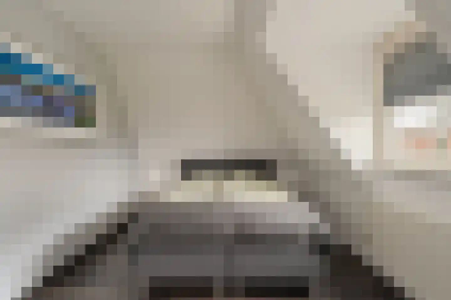 Agata de Bruynkade 19 Rotterdam thumbnail 29