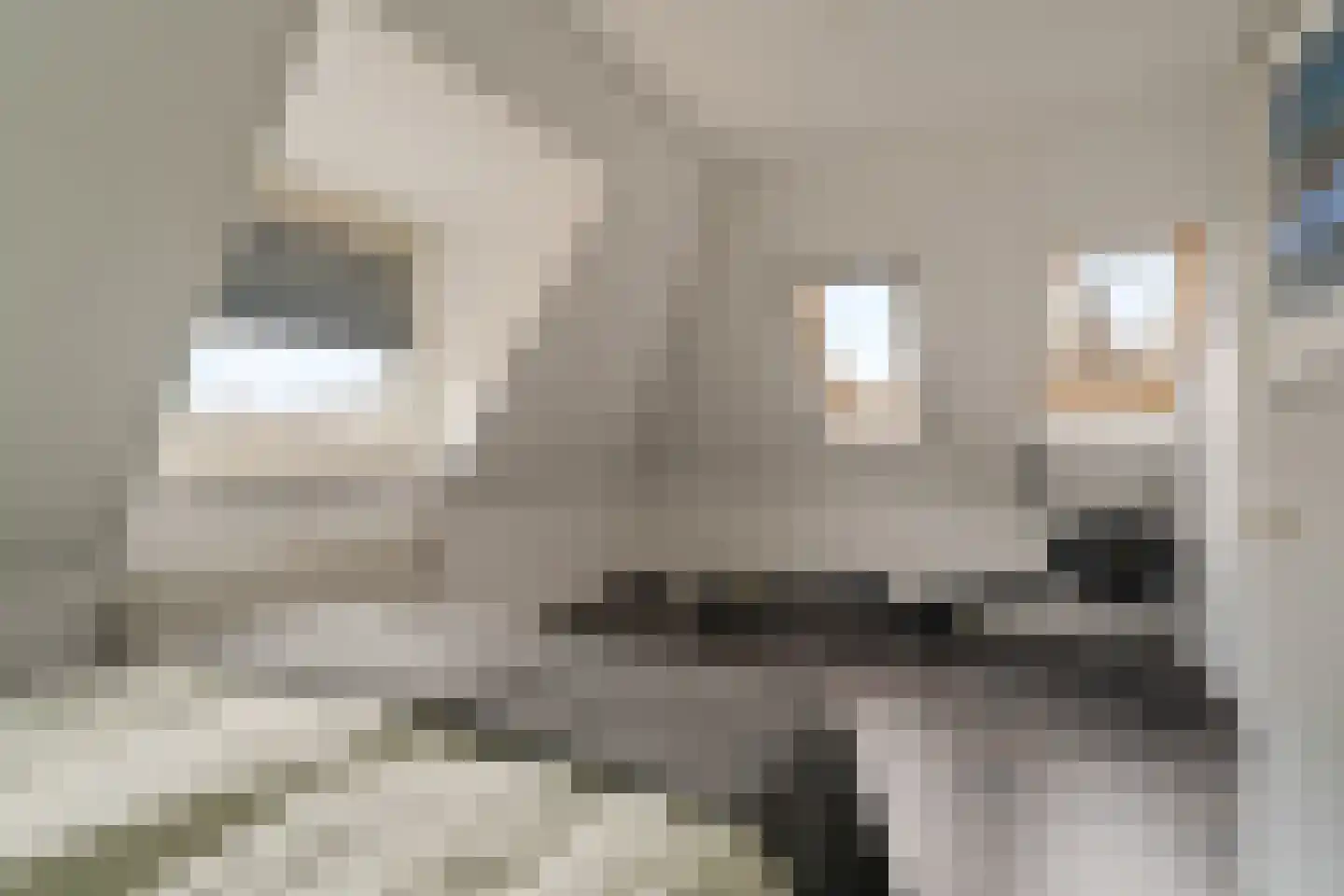 Agata de Bruynkade 19 Rotterdam thumbnail 30
