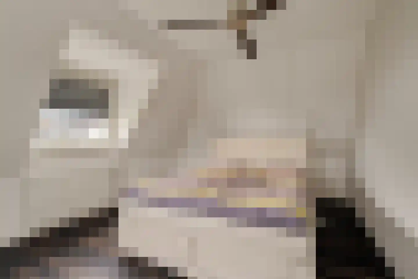 Agata de Bruynkade 19 Rotterdam thumbnail 31