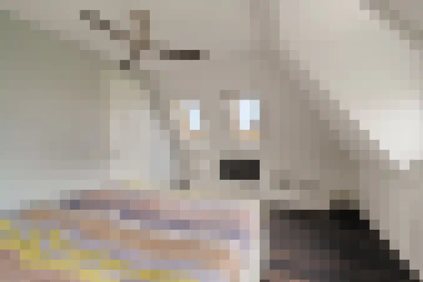 Agata de Bruynkade 19 Rotterdam thumbnail 32