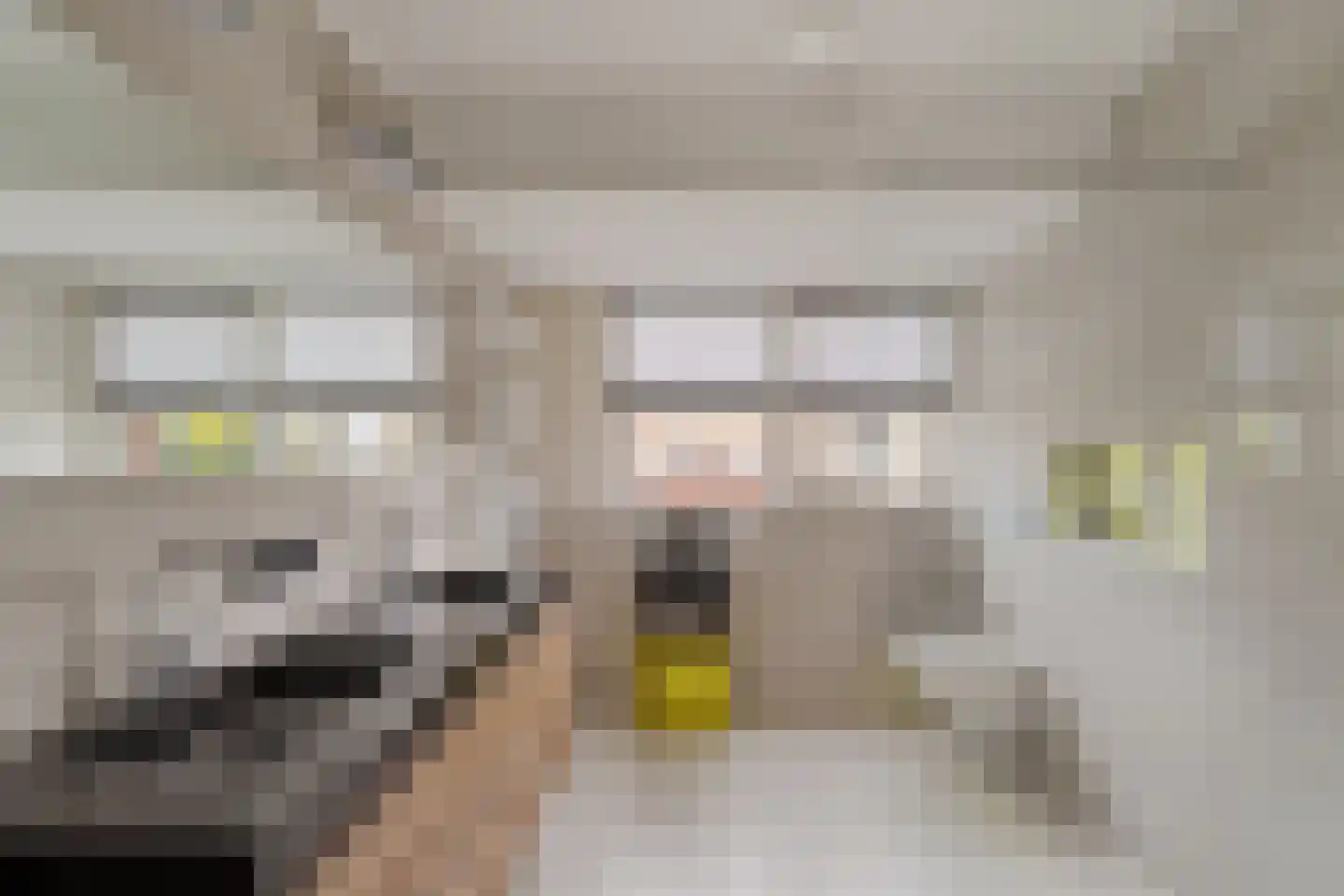 Agata de Bruynkade 19 Rotterdam thumbnail 35
