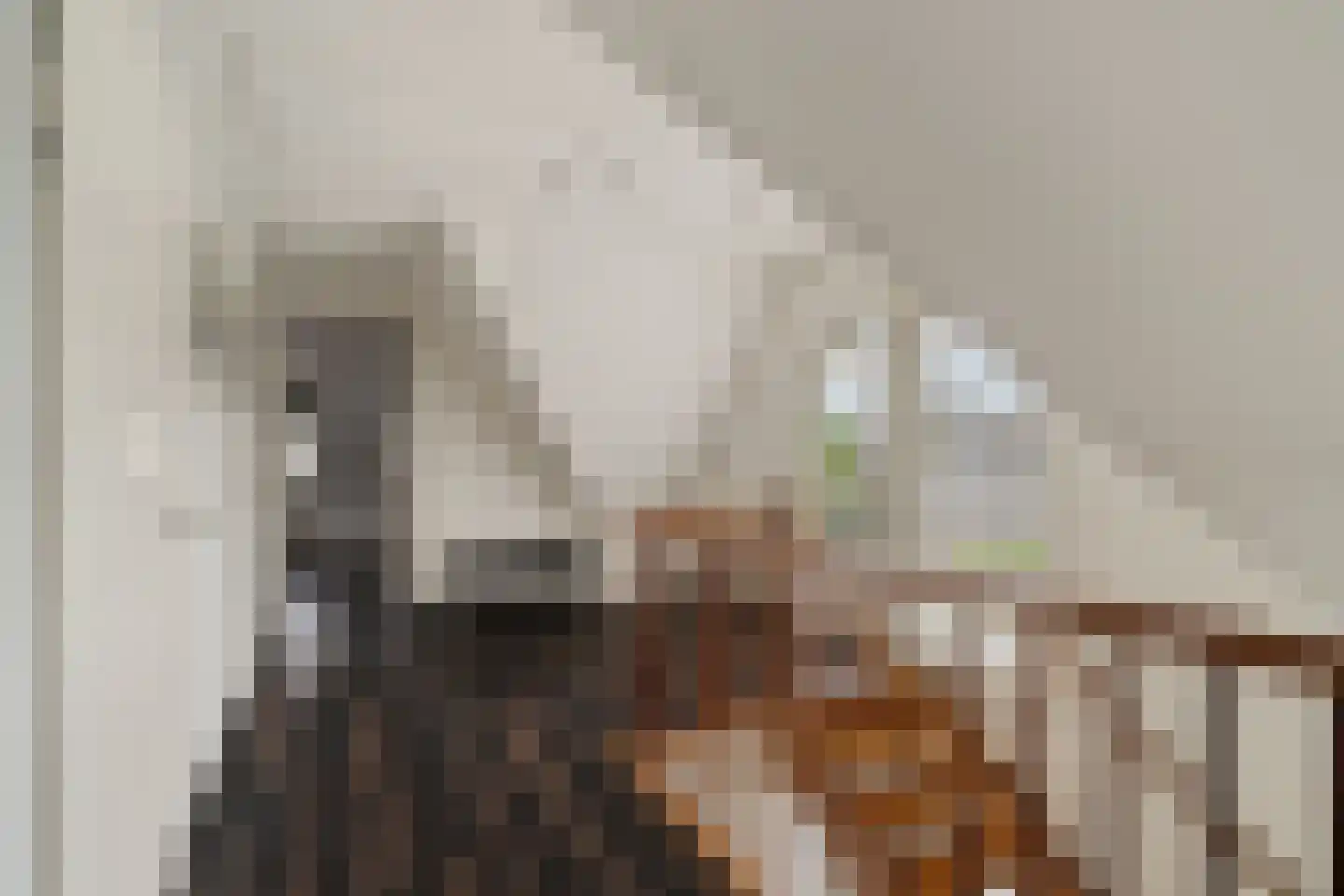 Agata de Bruynkade 19 Rotterdam thumbnail 38