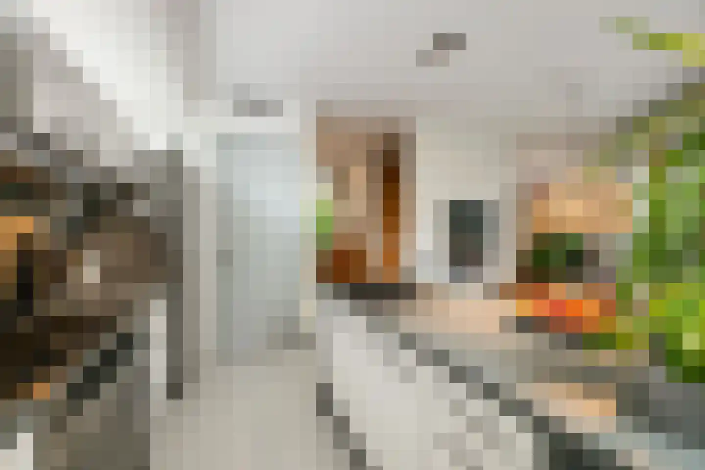 Agata de Bruynkade 3 Rotterdam thumbnail 22