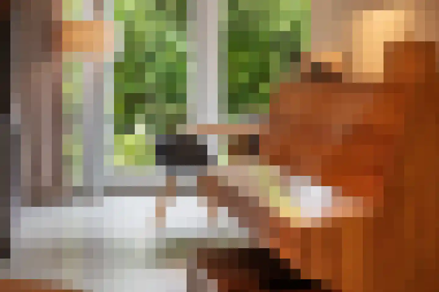 Agata de Bruynkade 3 Rotterdam thumbnail 31