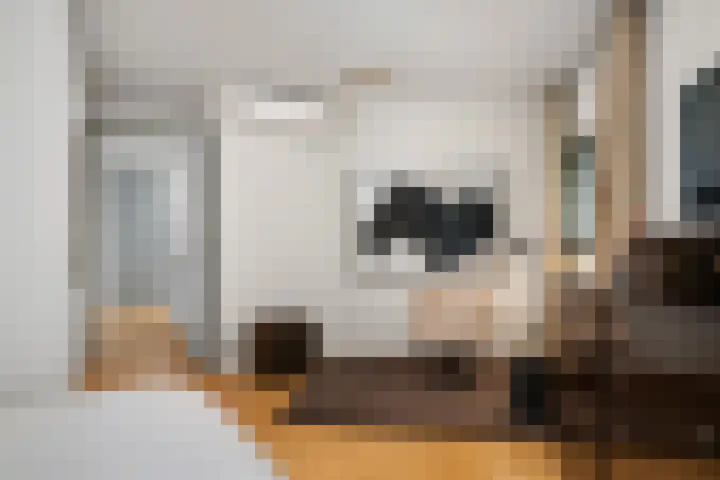 Agata de Bruynkade 3 Rotterdam thumbnail 38