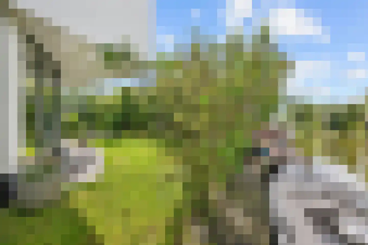 Agata de Bruynkade 3 Rotterdam thumbnail 60