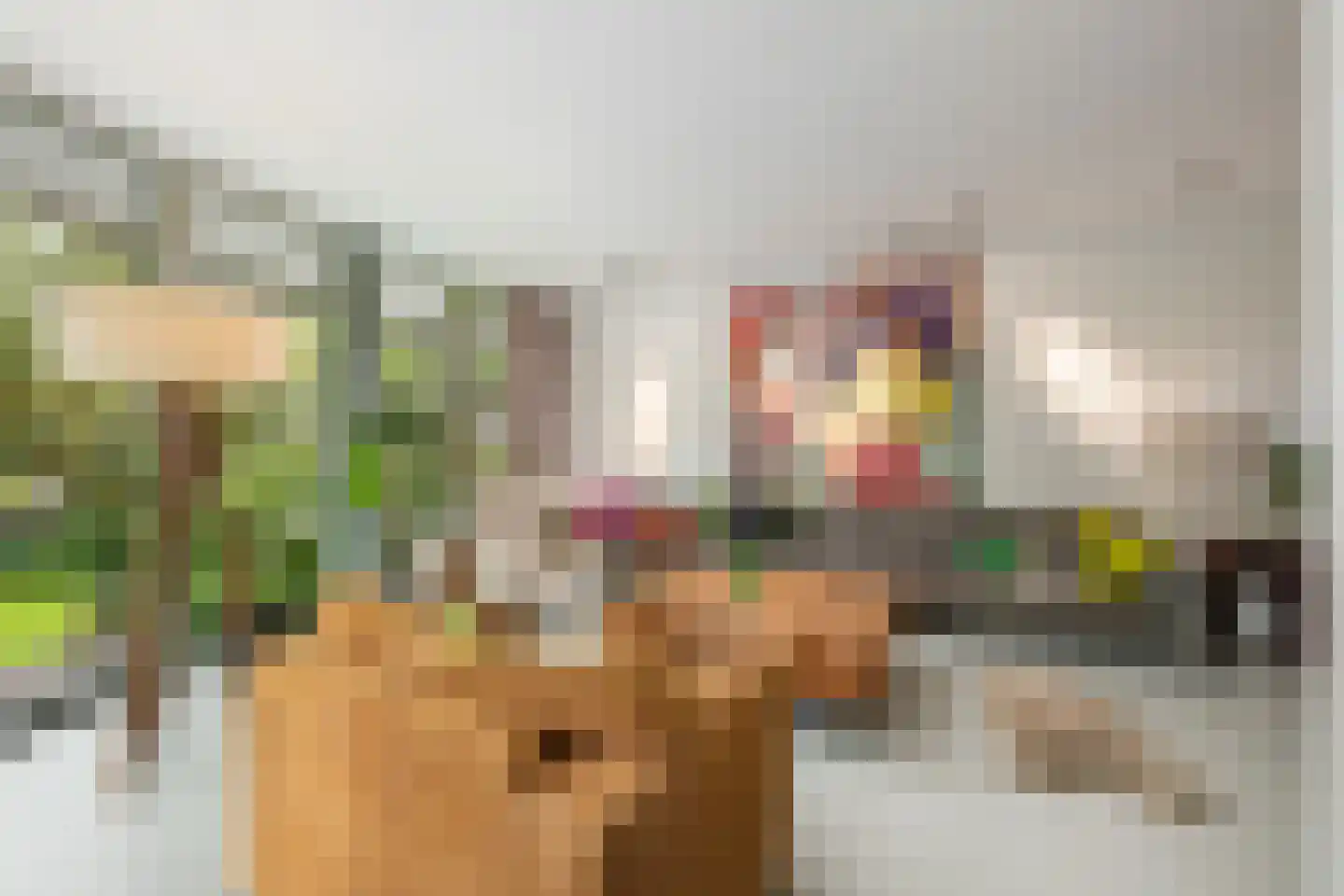 Agata de Bruynkade 3 Rotterdam thumbnail 7