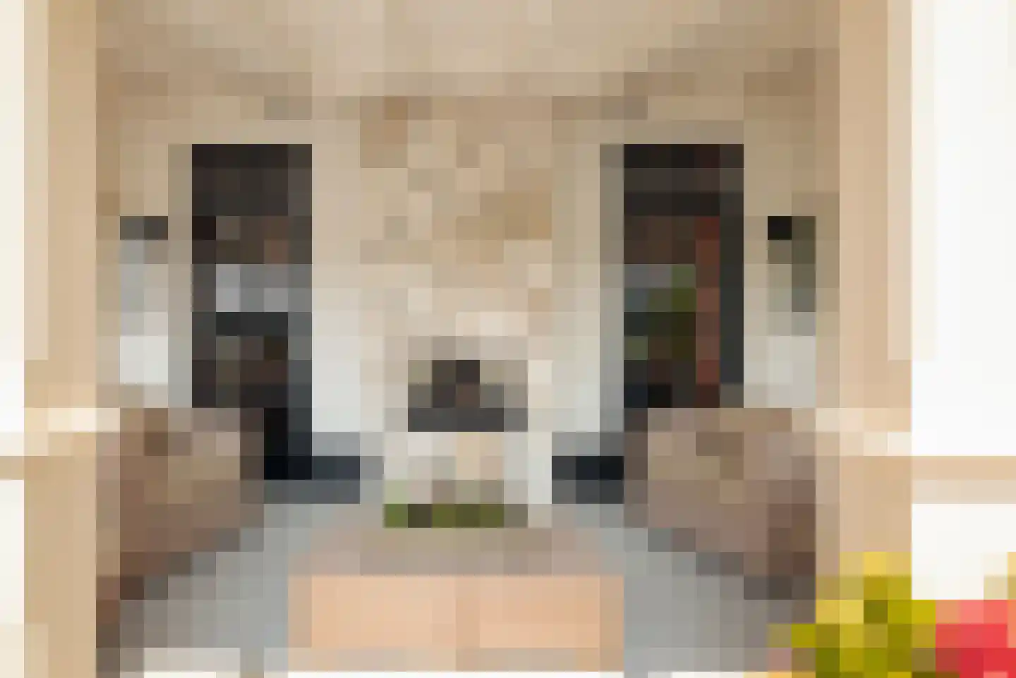 Agata de Bruynkade 34 Rotterdam thumbnail 17