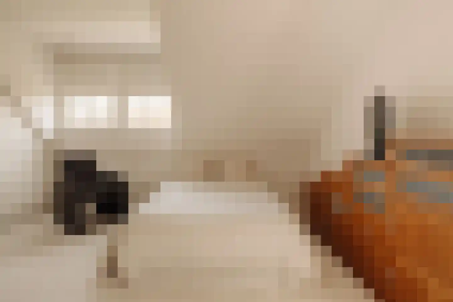 Agata de Bruynkade 34 Rotterdam thumbnail 29