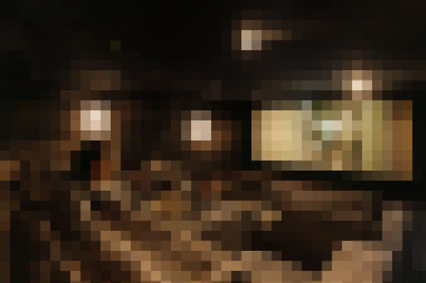 Agata de Bruynkade 34 Rotterdam thumbnail 37