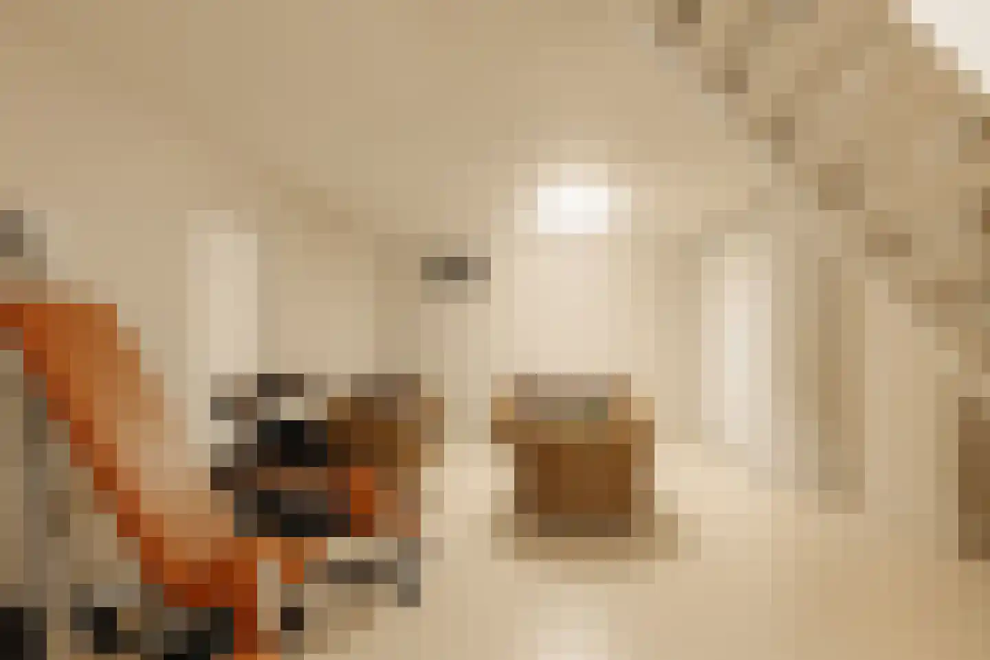 Agata de Bruynkade 34 Rotterdam thumbnail 43