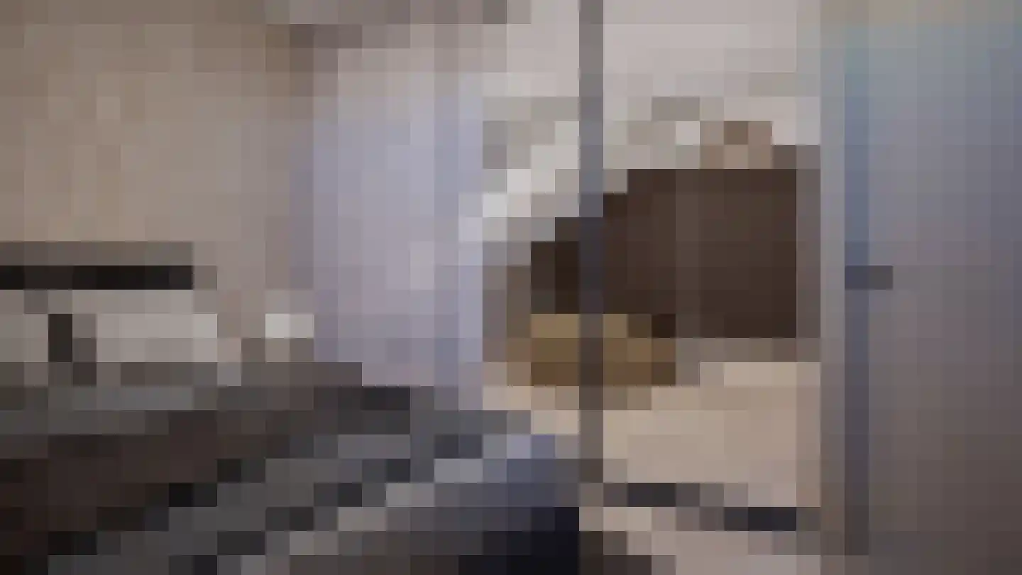 Agata de Bruynkade 34 Rotterdam thumbnail 47
