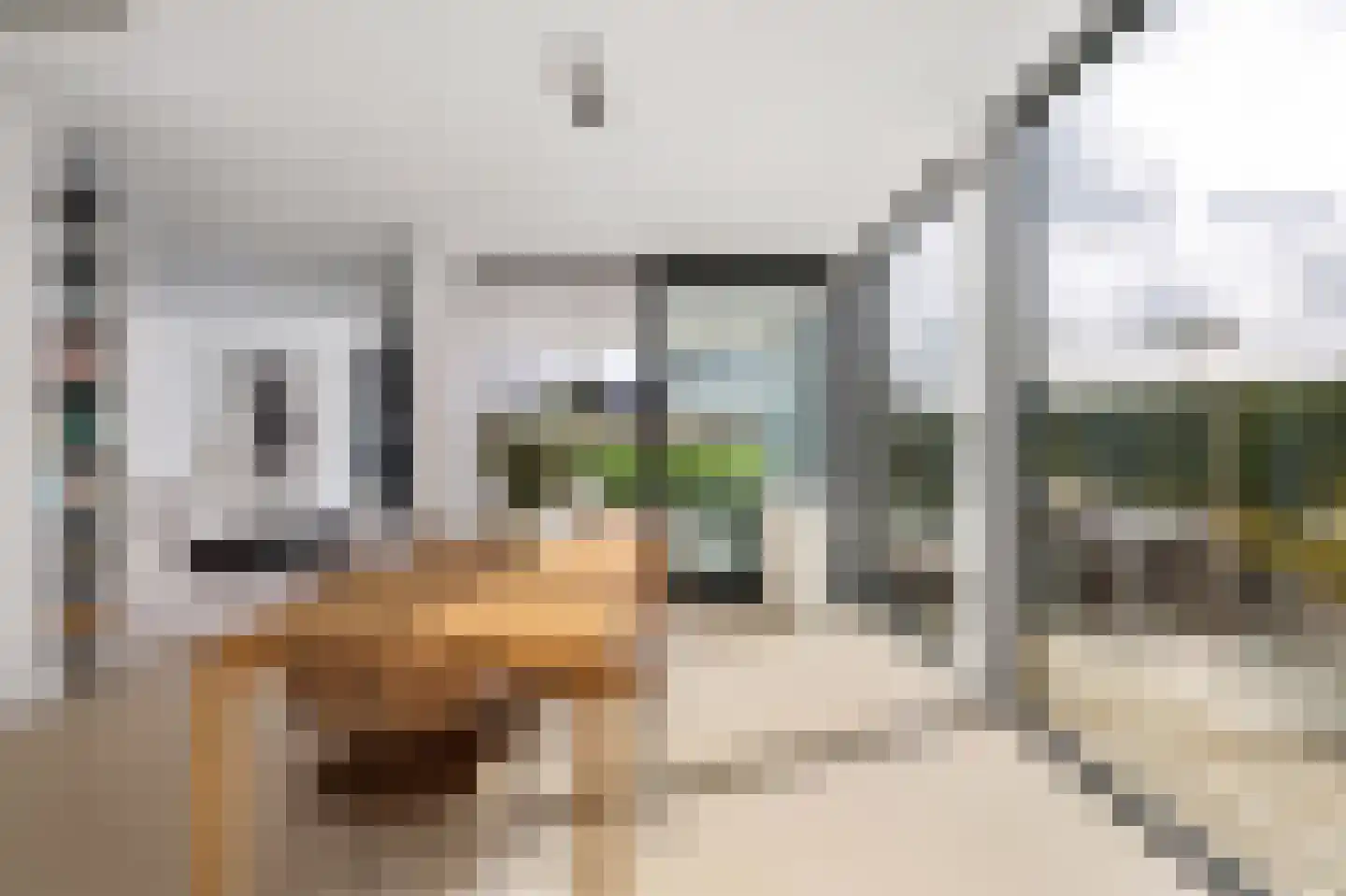 Agata de Bruynkade 6 Rotterdam thumbnail 15