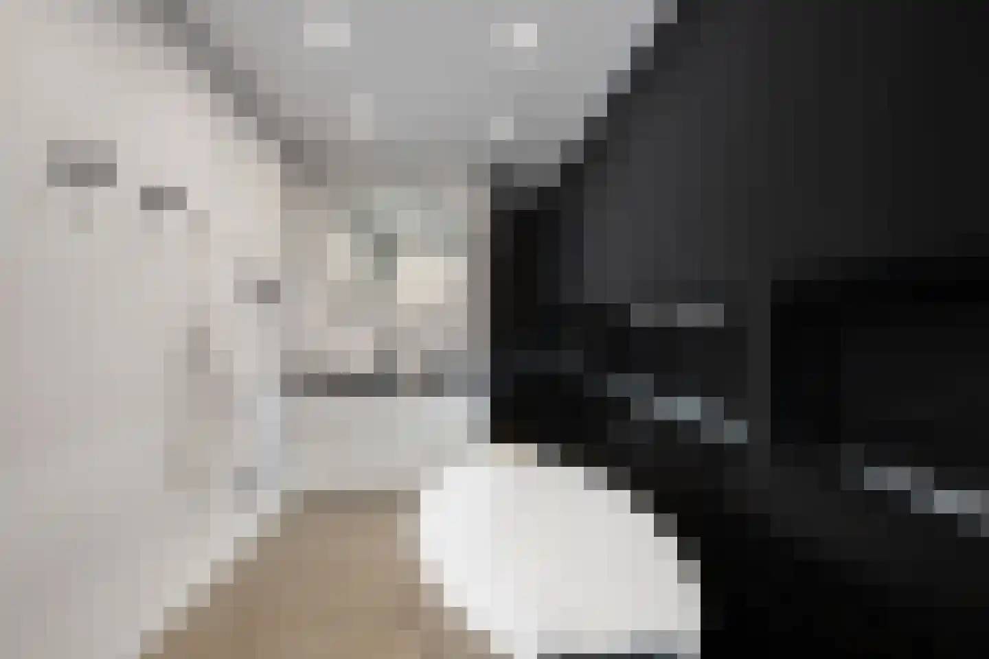 Agata de Bruynkade 6 Rotterdam thumbnail 33