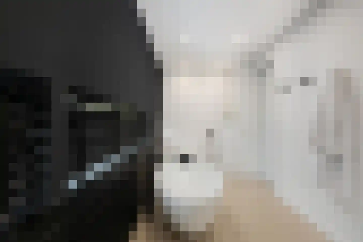 Agata de Bruynkade 6 Rotterdam thumbnail 34