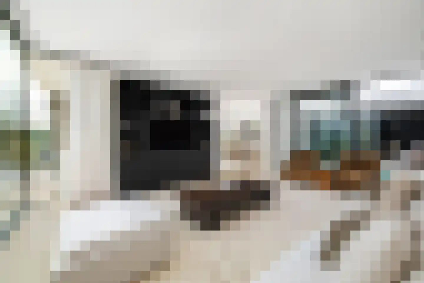 Agata de Bruynkade 6 Rotterdam thumbnail 4