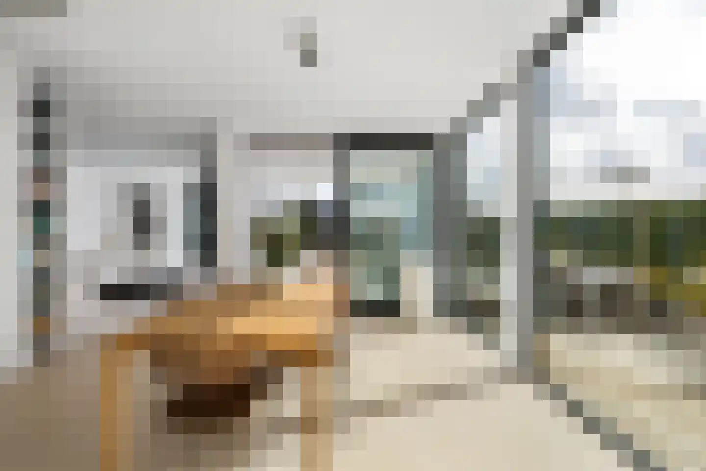 Agata de Bruynkade 6 Rotterdam thumbnail 6