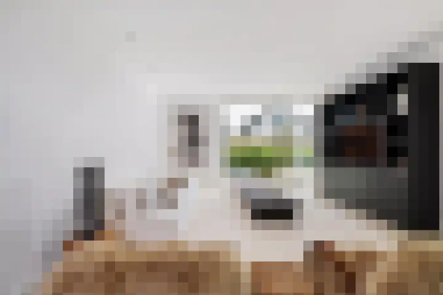 Agata de Bruynkade 6 Rotterdam thumbnail 7