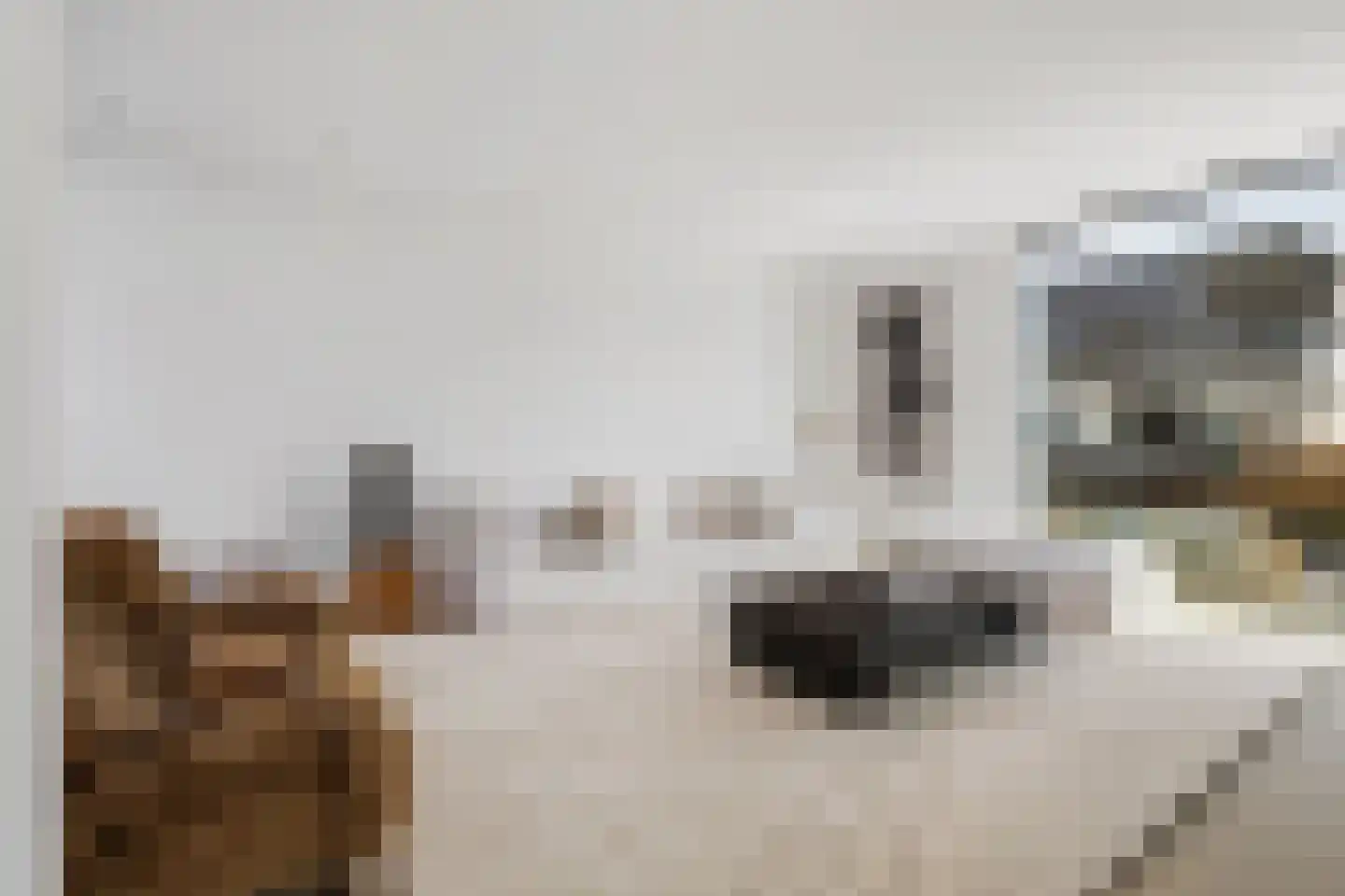 Agata de Bruynkade 6 Rotterdam thumbnail 9