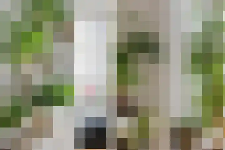 Agatha Christielaan 17 Eindhoven thumbnail 12