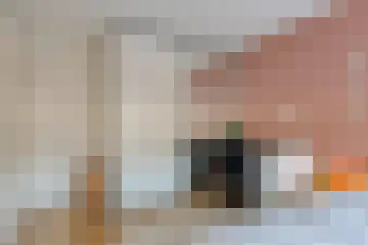 Agatha Christielaan 17 Eindhoven thumbnail 19