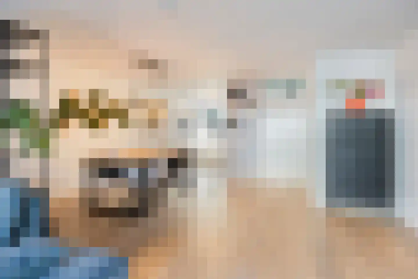 Agatha Christielaan 7 Eindhoven thumbnail 12