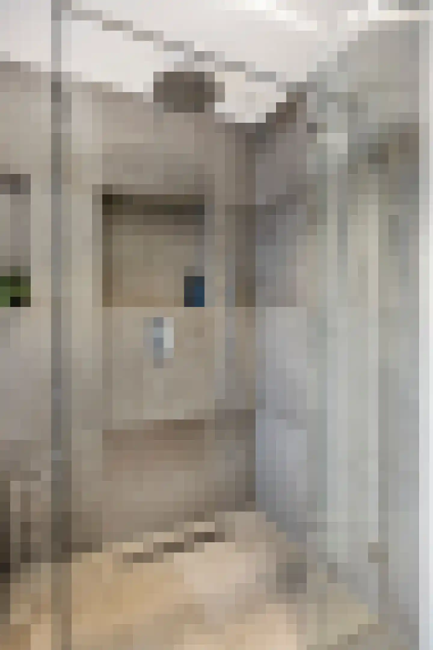 Agatha Christielaan 7 Eindhoven thumbnail 19