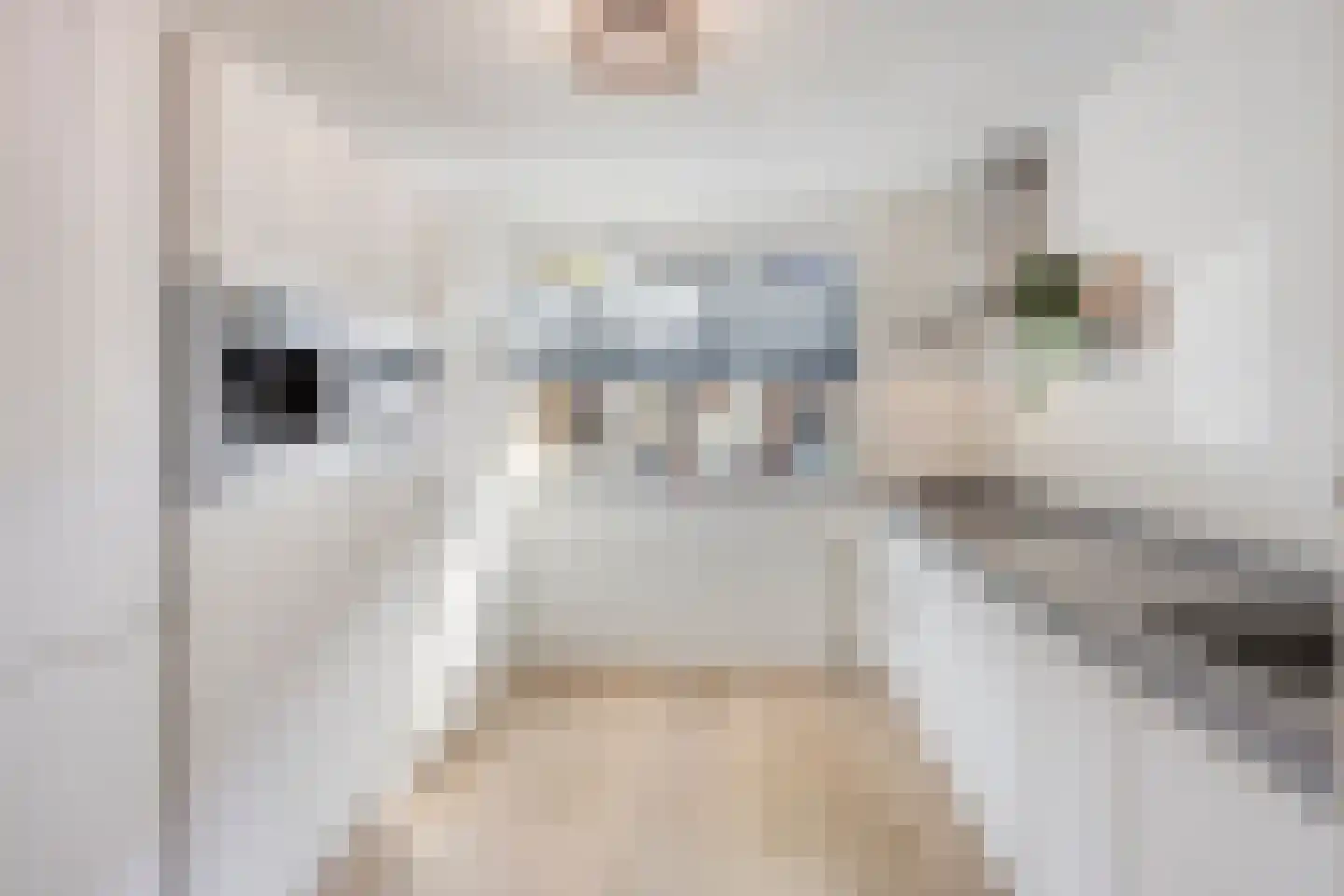 Agatha Christielaan 7 Eindhoven thumbnail 4