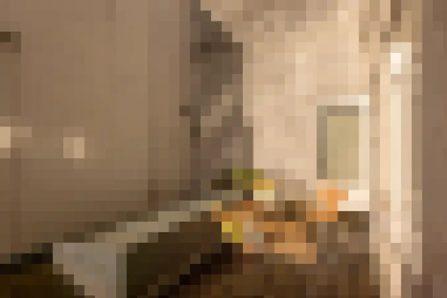 Agatha Dekenstraat 36 2 Amsterdam thumbnail 15