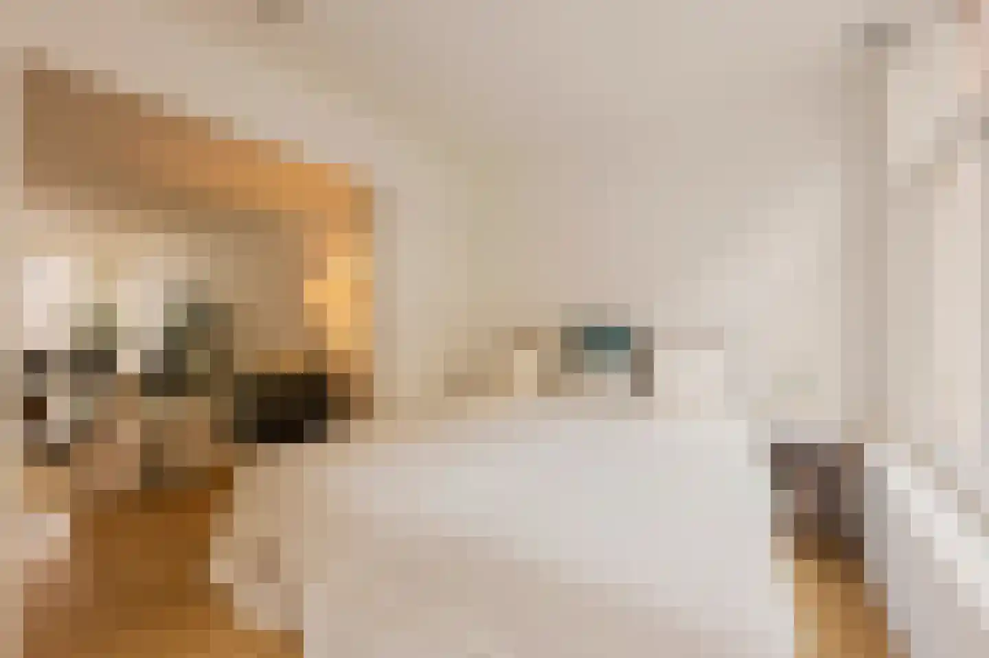 Agatha Dekenstraat 36 2 Amsterdam thumbnail 17
